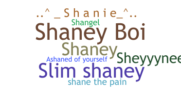 Becenév - Shane
