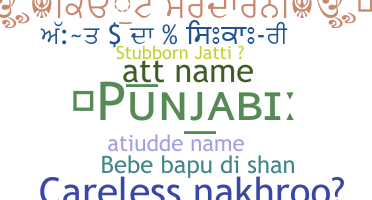 Becenév - Punjabi