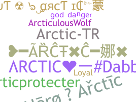 Becenév - Arctic